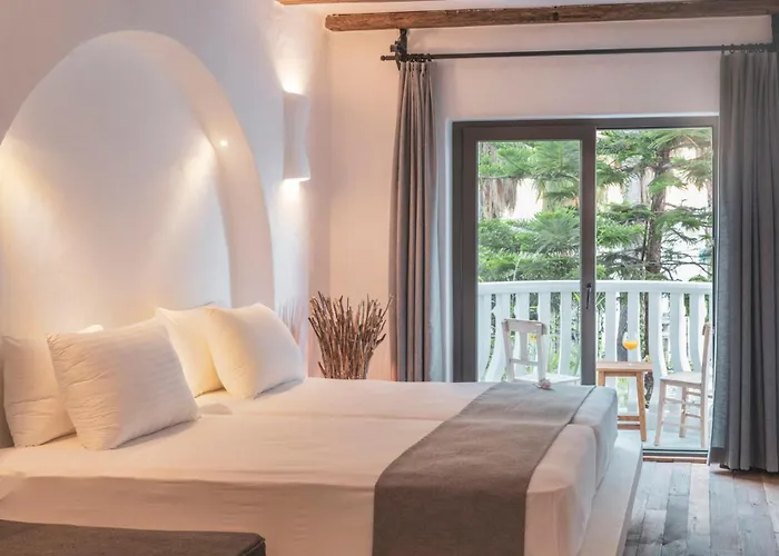 Ami Tai Deluxe -pet Lovers Hotel *