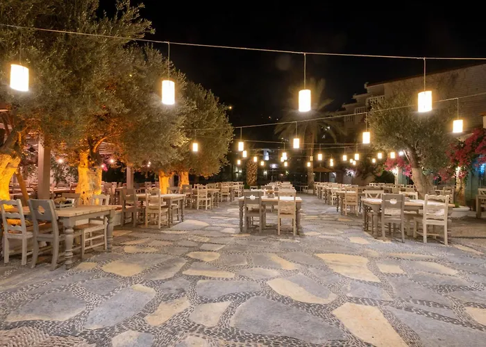 Ami Tai Deluxe -pet Lovers Fethiye