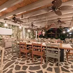Ami Tai Deluxe -pet Lovers Fethiye