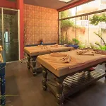 Ami Tai Deluxe -pet Lovers