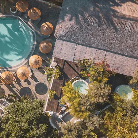 Ami Tai Deluxe -pet Lovers