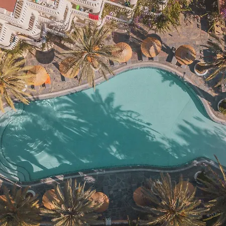 酒店 Ami Tai Deluxe -pet Lovers *