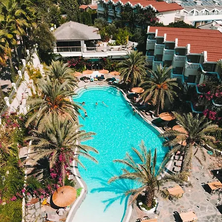 Ami Tai Deluxe -pet Lovers 费特希耶