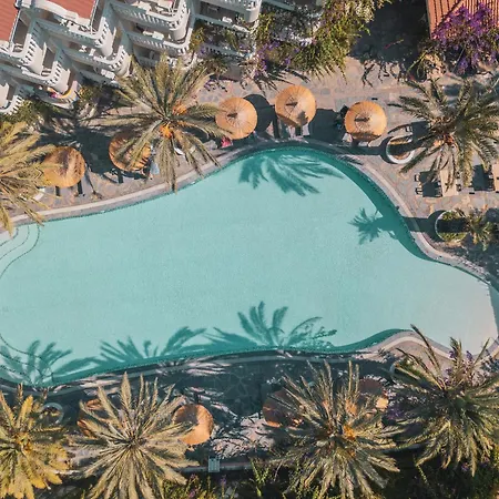 酒店 Ami Tai Deluxe -pet Lovers *